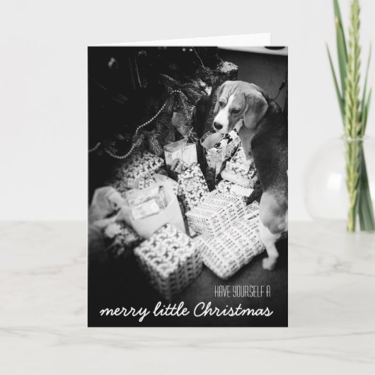 Rupert die Weihnachtskarte des Beagle Feiertagskarte (Vorderseite)