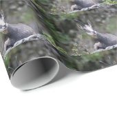 Rupicapra rupicapra geschenkpapier (Rolleneckpunkt)