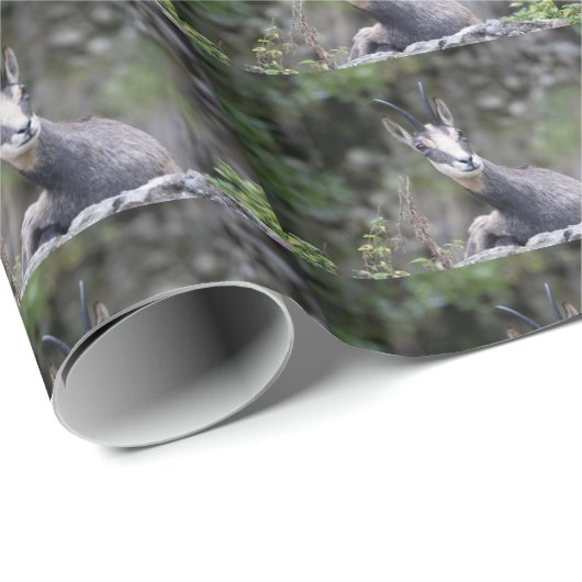 Rupicapra rupicapra geschenkpapier (Rolleneckpunkt)