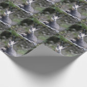 Rupicapra rupicapra geschenkpapier (Ecke)