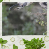 Rupicapra rupicapra geschirrtuch (Gefaltet)