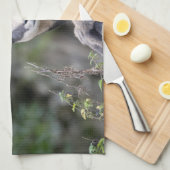 Rupicapra rupicapra geschirrtuch (Viertel Falte)