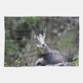 Rupicapra rupicapra geschirrtuch (Horizontal)