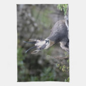 Rupicapra rupicapra geschirrtuch (Vertikal)