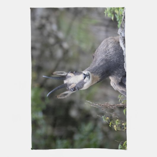 Rupicapra rupicapra geschirrtuch (Vertikal)