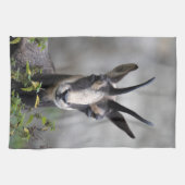 Rupicapra rupicapra geschirrtuch (Horizontal)