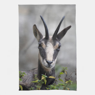 Rupicapra rupicapra geschirrtuch