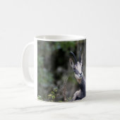 Rupicapra rupicapra kaffeetasse (Vorderseite Links)