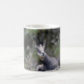 Rupicapra rupicapra kaffeetasse (Mittel)