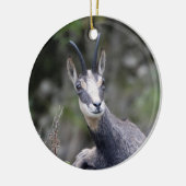 Rupicapra rupicapra keramik ornament (Links)
