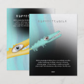Rupydetequila Children's Illustration 2015 (Vorne/Hinten)