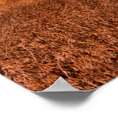 Rural America Stall Scene Poster (Ecke)