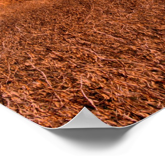 Rural America Stall Scene Poster (Ecke)