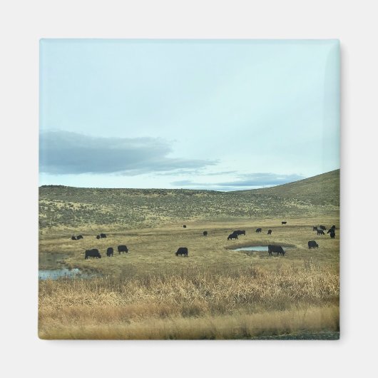 Rural Baker Landkreis, Oregon Magnet (Vorne)