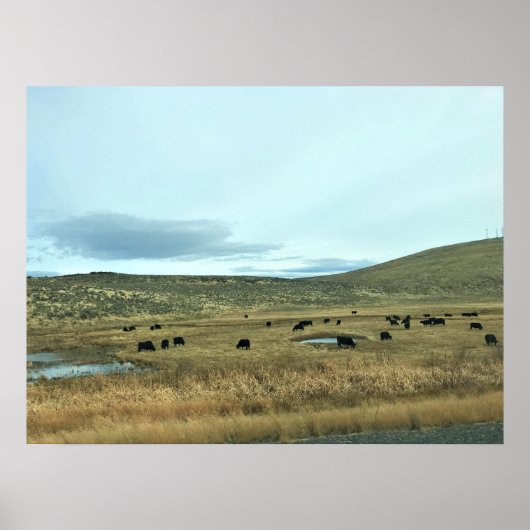 Rural Baker Landkreis, Oregon Poster (Vorne)