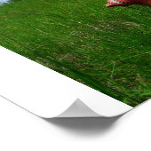 Rural Fire Hydrant Poster (Ecke)