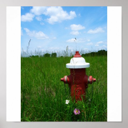 Rural Fire Hydrant Poster (Vorne)