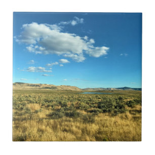 Rural Harney Landkreis, Burns, Oregon Fliese