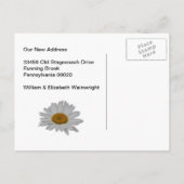 Rural Mailbox und Daisy Postcard Ankündigungspostkarte (Rückseite)