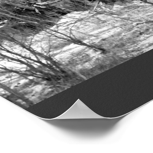 Rural Nebraska Barn B&W Poster (Ecke)