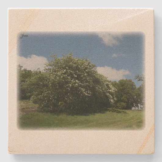 Rural Sweden June Steinuntersetzer (Vorderseite)