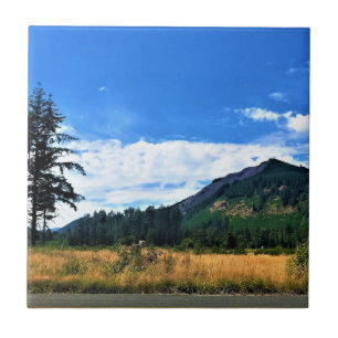 Rural Washington, Randle, Fliese