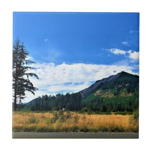 Rural Washington, Randle, Fliese (Vorderseite)