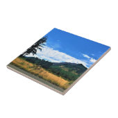 Rural Washington, Randle, Fliese (Seite)