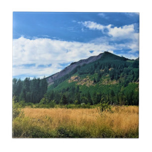 Rural Washington, Randle, Fliese