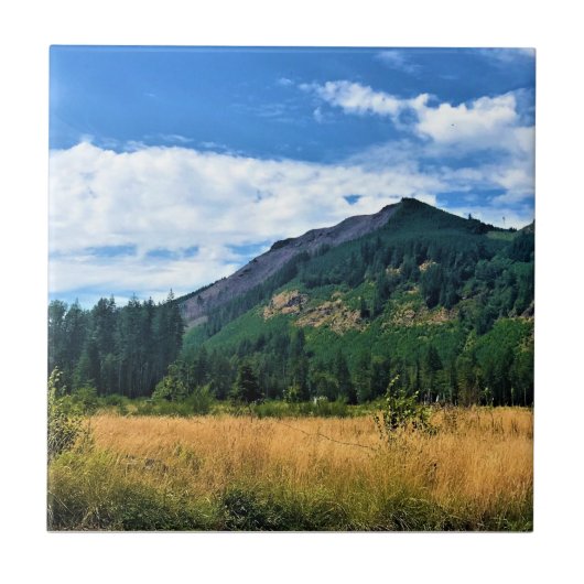 Rural Washington, Randle, Fliese (Vorderseite)