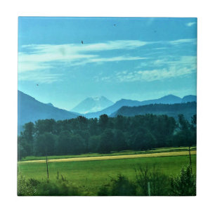Rural Washington, Randle, Fliese