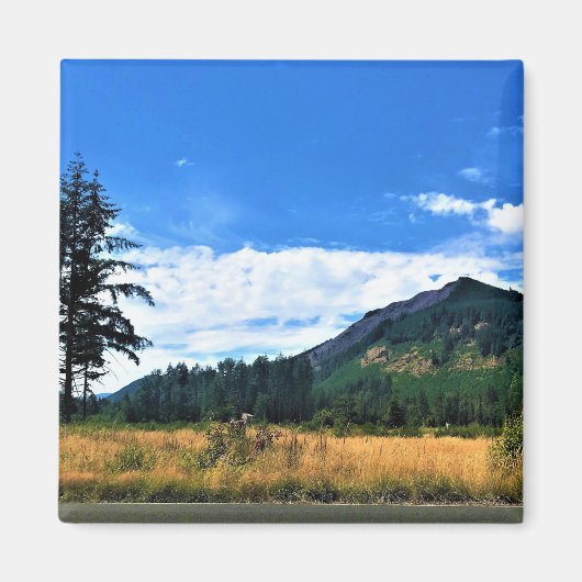Rural Washington, Randle, Magnet (Vorne)