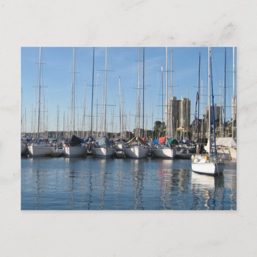 Rushcutter Bay Postkarte (Vorderseite)