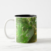 Rushing River under Trees Tasse (Links)