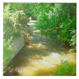 Rushing River under Trees Tile Fliese