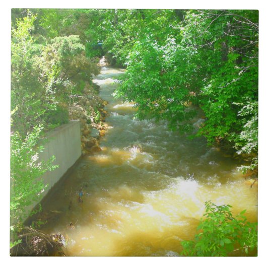 Rushing River under Trees Tile Fliese (Vorderseite)