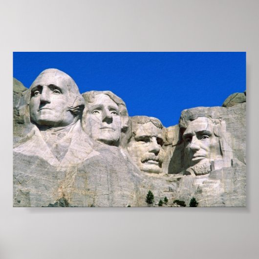 Rushmore Poster (Vorne)