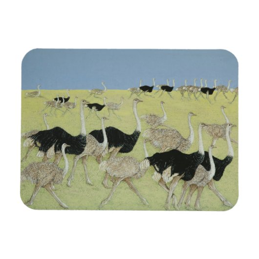 Rushstunde 2 magnet (Horizontal)