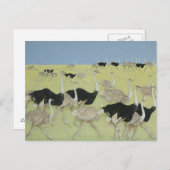 Rushstunde 2 postkarte (Vorne/Hinten)