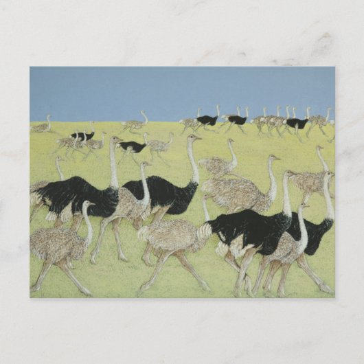 Rushstunde 2 postkarte (Vorderseite)