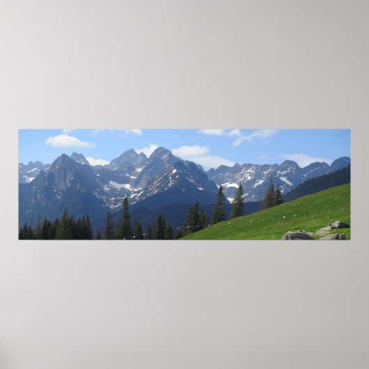 Rusinowa Wiese Tatras Poster (Vorne)