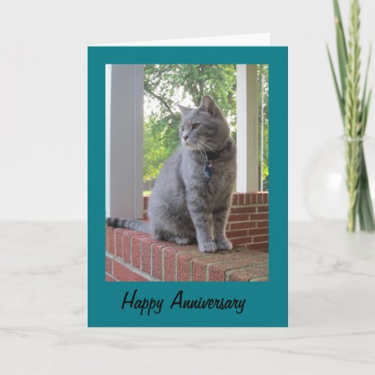 Ruß The Cat Happy Anniversary Greeting Card Karte (Vorderseite)