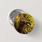 Rüsselkäfer-Abzeichen Button (Vorne & Hinten)