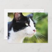 Russell 1 postkarte (Vorne/Hinten)