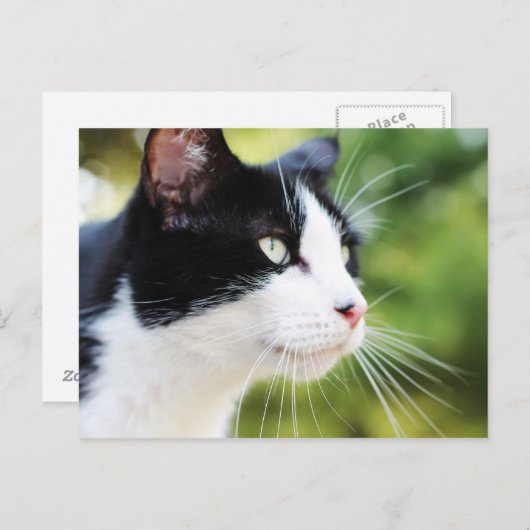 Russell 1 postkarte (Vorne/Hinten)