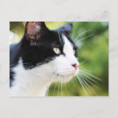 Russell 1 postkarte (Vorderseite)