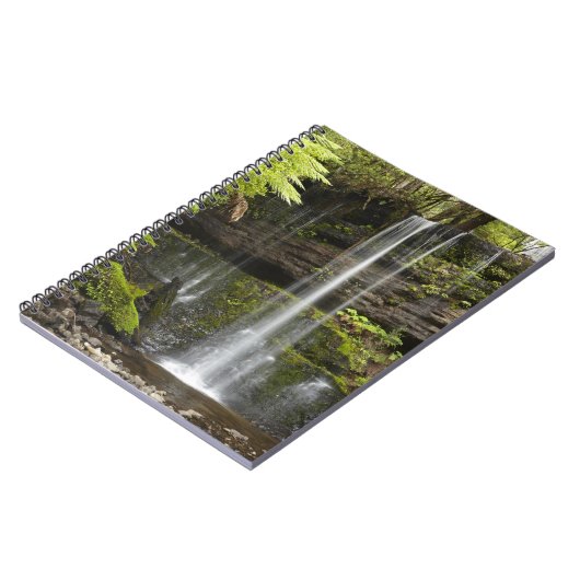 Russell Falls, Mount Field National Park, Notizblock (Linke Seite)