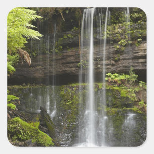 Russell Falls, Mount Field Nationalpark, Quadratischer Aufkleber