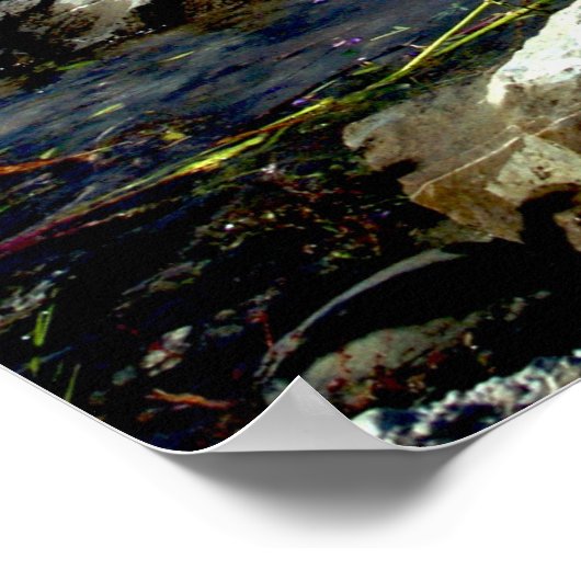 Russell Lupins in Lake Tekapo, New Zealand Poster (Ecke)