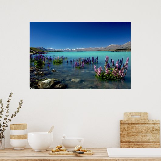 Russell Lupins in Lake Tekapo, New Zealand Poster (Küche)